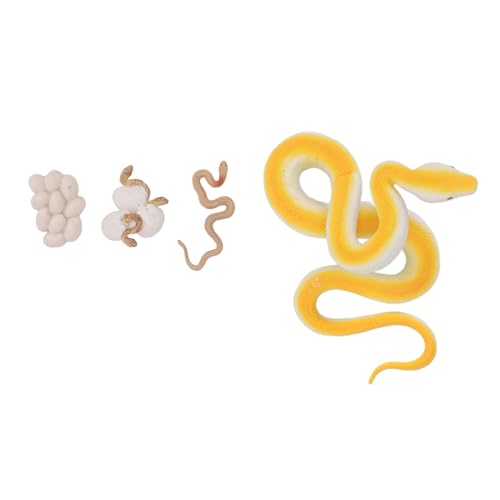 Schlangen-Lebenszyklus-Figuren-Spielzeug, Schlangen-Wachstumszyklus-Modell, Biologisches Spielzeug für die Schule Schlangen-Lebenszyklus-Figuren-Spielzeug, Schlangen-Wachstumszyklus-Modell, Biologisches Spielzeug für die Schule von Generic