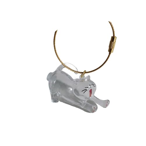 Schlüsselanhänger Andenken Kreative Katze Memorial Geschenk Tragbare Tasche Charme Auto Schlüsselanhänger, Style F von HuadaXtai