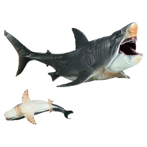Shark Toy for Boys,Shark Model Toy | Bildungsinstrument Bildungslern, dekoratives Tierkollektierbar für Meereserziehung, Unterricht im Klassenzimmer, so tun Spiele Spielen von Generic