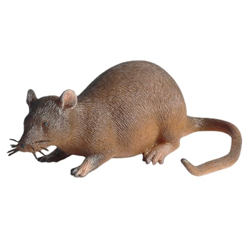 Simuliertes Mausmodell für Prank - TPR Mausfiguren- Gefälschte Maus - Realistische - gefälschte - Maus für - Halloween-Streich- hervorragender - Qualität - sicher für Kinder. DTPR-Mausfiguren von Generic