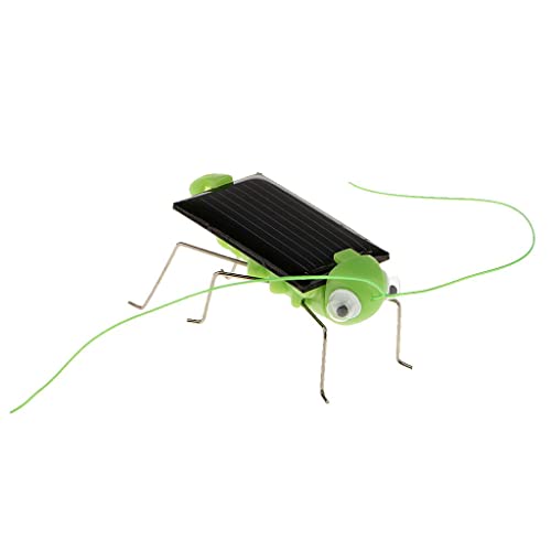 Solar Grasshopper - Lernspielzeug für Kinder, umweltfreundlich Solar Grasshopper - Lernspielzeug für Kinder, umweltfreundlich von Generic