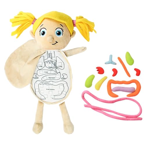 Spielzeug für Organanatomie – pädagogische Werkzeuge zur Sensibilisierung für die Anatomie des menschlichen Körpers | Plüschspielzeug aus menschlichem inneren Organ, Körperstruktur für das Lernen von Spielzeug für Organanatomie – pädagogische Werkzeuge zur Sensibilisierung für die Anatomie des menschlichen Körpers | Plüschspielzeug aus menschlichem inneren Organ, Körperstruktur für das Lernen von von Generic
