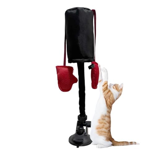 Spielzeug mit Boxsack für Katzen - Boxspielzeug für Kätzchen, interaktives Spielzeug mit Boxsack für Katzen | Teaser Spielzeug für Haustierübungen, Boxsack, Pales von Generic