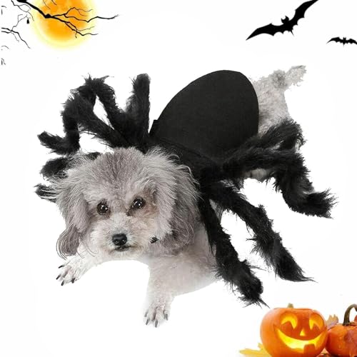 Spinnen-Kostüm für Katzen | Cosplay Outfit Zubehör Halloween Dress Up Clothes, Halloween Party Kostüm, Dress Up Zubehör für Katzen, Welpen, Kaninchen und Spinnenaussehen zuverlässiger und Spinnen-Kostüm für Katzen | Cosplay Outfit Zubehör Halloween Dress Up Clothes, Halloween Party Kostüm, Dress Up Zubehör für Katzen, Welpen, Kaninchen und Spinnenaussehen zuverlässiger und von Generic