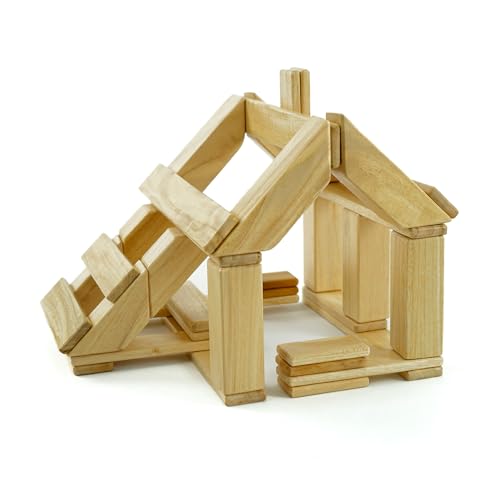 Tegu Magnetisches Entdeckerset Natur 40-teilig Magnetische Holzbausteine Holzset Holzspielzeug Bausteine für Kinder von Generic