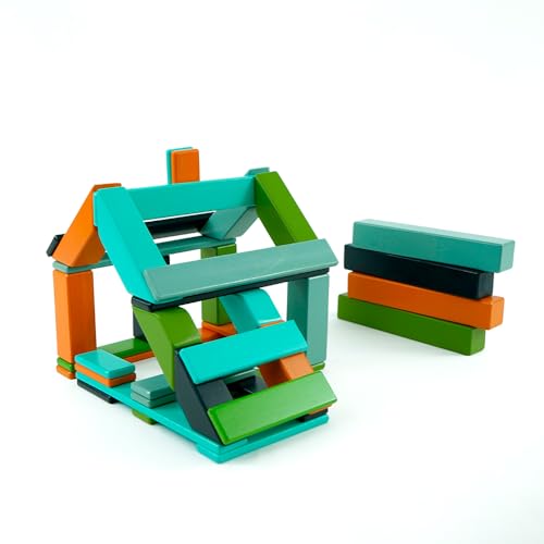 Tegu Magnetisches Entdeckerset Nelson Blau 40-teilig Magnetische Holzbausteine Holzset Holzspielzeug Bausteine für Kinder von Generic