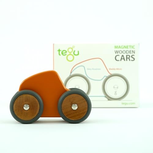 Tegu Renner Maddy Micro 5-teilig Magnetische Holzbausteine Holzset Holzspielzeug Holzauto Bausteine für Kinder von Generic