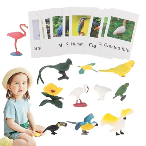 Tier-Match-Karten, Tier-Matching-Spiel – Flash Cards Matching-Spiel sensorisches Spielzeug für Tiere | Pädagogisches kognitives Lernspielzeug zum Lernen im pres Alter von Generic