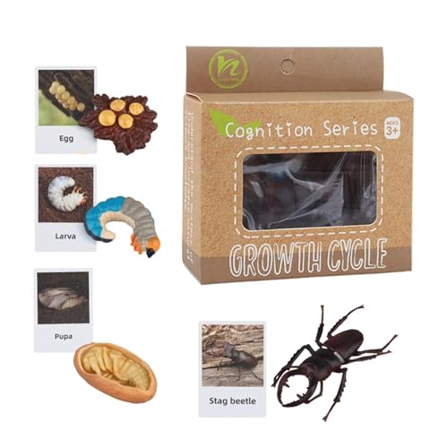 Tierblitzkarten, Tier-passendes Spielzeug,Realistisches Figuren Set für Kinder - Tierlebenszyklusspielzeug, süßes Lernspielzeug für Zuhause, Kindergarten, Kindergarten, Kindergarten Tierblitzkarten, Tier-passendes Spielzeug,Realistisches Figuren Set für Kinder - Tierlebenszyklusspielzeug, süßes Lernspielzeug für Zuhause, Kindergarten, Kindergarten, Kindergarten von Generic