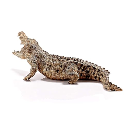 Toy Crocodile - Actionfigur Wildtiere mit beweglichem , lebensechte Tiere | Safari-Raubtier-Modell, Reptilienpädagogische Reptilienfigur, realistische Alligator aus Kunststoff von Generic