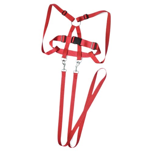 Verstellbares Pferdegeschirr Spielzeug für | Verstellbarer Pferdeplatz für die | Tragen einer strapazierfähigen Reitausrüstung im Freien Aktivität Spiel Spiel für Verstellbares Pferdegeschirr Spielzeug für | Verstellbarer Pferdeplatz für die | Tragen einer strapazierfähigen Reitausrüstung im Freien Aktivität Spiel Spiel für von Generic