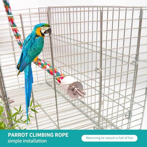 Vogelschaukel | 30/40/60/80/105cm | Spielzeug für Vögel | Papagei Kletterseil Vogel Schaukel Spielzeug Vogel Barsch Seil Bungee Seil für Vögel Wellensittiche Sittiche (A, 30cm) von Generic