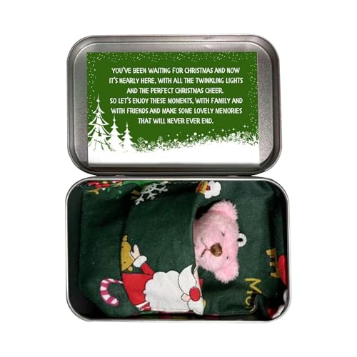 Weihnachtsbär in einer Box – Taschen- | in Weihnachtsbox mit Karten und Bettdecken zum Geburtstag von Baby Shower von Generic