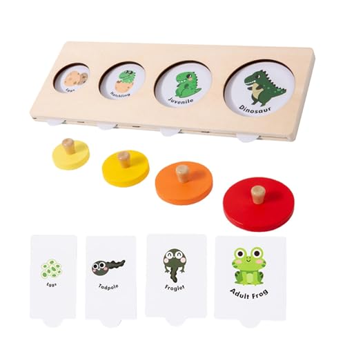 Wissenschaftliches Spielzeug für Kinder, Lebenszyklus-Puzzle - Lustiges Lernpuzzle - Innovatives Lernspielzeug aus Holz Matching Spiel für Kinder, Jungen und Mädchen Wissenschaftliches Spielzeug für Kinder, Lebenszyklus-Puzzle - Lustiges Lernpuzzle - Innovatives Lernspielzeug aus Holz Matching Spiel für Kinder, Jungen und Mädchen von Generic