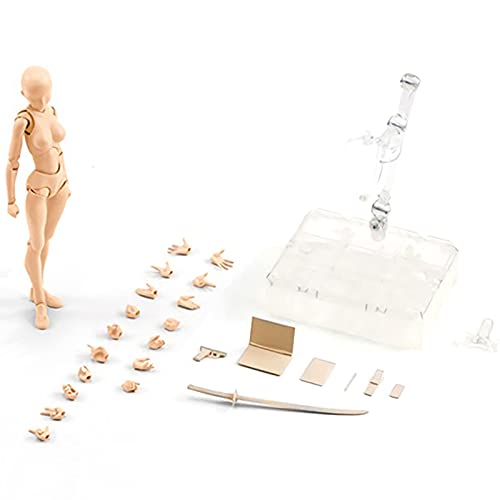 Zeichenmodellfigur – Actionfiguren-Set, Zeichenaktionsfiguren, Zeichenmodell für Actionfiguren | Malfiguren-Kits, Körperfiguren von P Zeichenmodellfigur – Actionfiguren-Set, Zeichenaktionsfiguren, Zeichenmodell für Actionfiguren | Malfiguren-Kits, Körperfiguren von P von Generic
