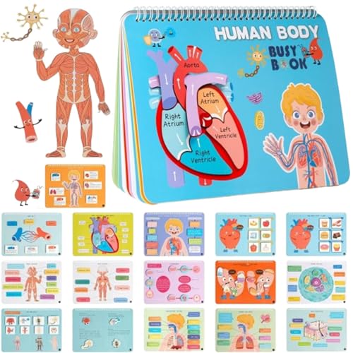 Buch mit beschäftigten Aktivitäten der menschlichen Anatomie: sensorisches Buch zur Reiseanatomie, Spielzeug, Kindergartenaktivitäten, Anatomiebuch für Kinder, Kleinkinder, Mädchen, Familie Buch mit beschäftigten Aktivitäten der menschlichen Anatomie: sensorisches Buch zur Reiseanatomie, Spielzeug, Kindergartenaktivitäten, Anatomiebuch für Kinder, Kleinkinder, Mädchen, Familie von Genérico