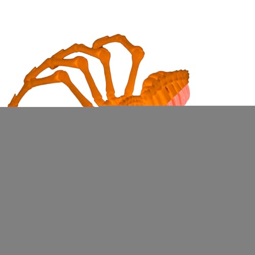 Fidget Spinne, 3D-bedrucktes Fidget-Spielzeug mit beweglichen Gelenken, 3D-Druck, Schreibtisch-Spielzeug für Erwachsene, Schreibspielzeug von Genérico