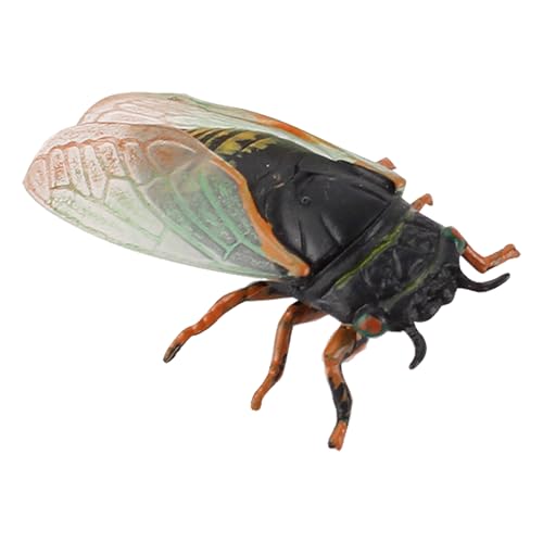 Genérico CICADA Toyo - realistische Zikada-Tierfiguren | Wissenschaftsprojekt zum frühen Erziehungsspielzeug zum Geburtstag für Kleinkinder | Große Insektenfiguren Genérico CICADA Toyo - realistische Zikada-Tierfiguren | Wissenschaftsprojekt zum frühen Erziehungsspielzeug zum Geburtstag für Kleinkinder | Große Insektenfiguren von Genérico