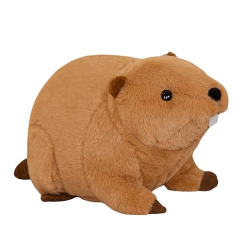 Genérico Niedliches Spielzeug: Ernährungsphysiologische Klemmkissen, Plüschkissen, niedliches Plüschtier, Ratten-Spielzeug, Kinderpuppe, weiches Spielzeug, nährende Puppe, geeignet Genérico Niedliches Spielzeug: Ernährungsphysiologische Klemmkissen, Plüschkissen, niedliches Plüschtier, Ratten-Spielzeug, Kinderpuppe, weiches Spielzeug, nährende Puppe, geeignet von Genérico