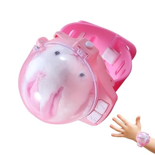 Genérico Spielzeug für Autorennen, elektrisch, wiederaufladbar, USB, lange Reichweite, tragbarer Controller, lustiges Spielzeug für Kinder von Genérico