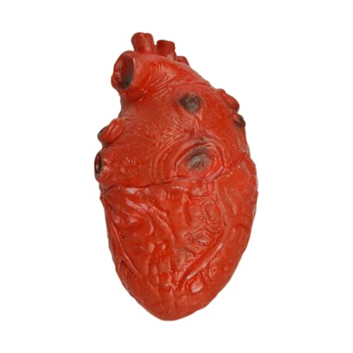 Halloween Herz Proporro - Gruseliges Deko-Stück, Spukhaus-Akzent | Realistisches Bloody Heart Modell, Gruseliges Halloween-Display Dekoration, Fals Orgel Zubehör von Genérico