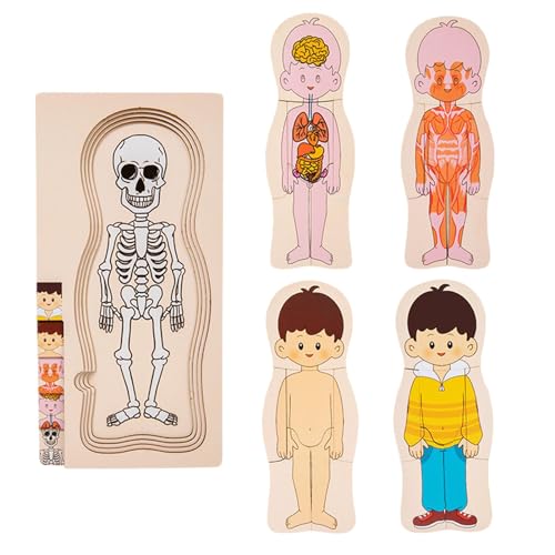 Holzpuzzle für den menschlichen Körper, Anatomie und Modell des menschlichen Körpers, interaktives und pädagogisches menschliches Körpermodell, Organerkennung für besseres Lernen Holzpuzzle für den menschlichen Körper, Anatomie und Modell des menschlichen Körpers, interaktives und pädagogisches menschliches Körpermodell, Organerkennung für besseres Lernen von Genérico