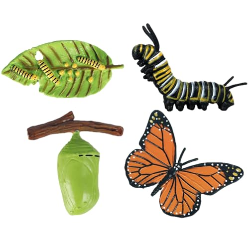 Lebenszyklus-Figuren – Insekten-Lebenszyklus-Figuren | geschmacksneutrale Lebenszyklus-Figuren, Motte, Schmetterling, Schildkröte, Arbeiterameise, Frosch Pp Insektenfiguren-Set Lebenszyklus-Figuren – Insekten-Lebenszyklus-Figuren | geschmacksneutrale Lebenszyklus-Figuren, Motte, Schmetterling, Schildkröte, Arbeiterameise, Frosch Pp Insektenfiguren-Set von Genérico