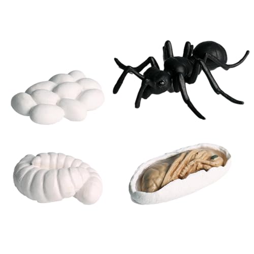 Lebenszyklus-Figuren – Insekten-Lebenszyklus-Figuren | geschmacksneutrale Lebenszyklus-Figuren, Motte, Schmetterling, Schildkröte, Arbeiterameise, Frosch Pp Insektenfiguren-Set von Genérico