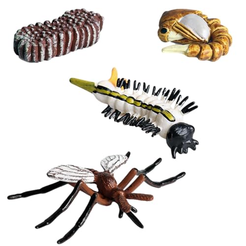 Lebenszyklus-Figuren – Insekten-Lebenszyklus-Figuren | geschmacksneutrale Lebenszyklus-Figuren, Motte, Schmetterling, Schildkröte, Arbeiterameise, Frosch Pp Insektenfiguren-Set Lebenszyklus-Figuren – Insekten-Lebenszyklus-Figuren | geschmacksneutrale Lebenszyklus-Figuren, Motte, Schmetterling, Schildkröte, Arbeiterameise, Frosch Pp Insektenfiguren-Set von Genérico