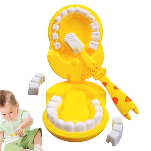 Spielzeug zum Zähneputzen, pädagogisches Spielzeug mit Zähnen, Set für Zahnarztsimulation, anatomisches Spielzeug für Mundgesundheit, Set I Spielzeug zum Zähneputzen, pädagogisches Spielzeug mit Zähnen, Set für Zahnarztsimulation, anatomisches Spielzeug für Mundgesundheit, Set I von Genérico