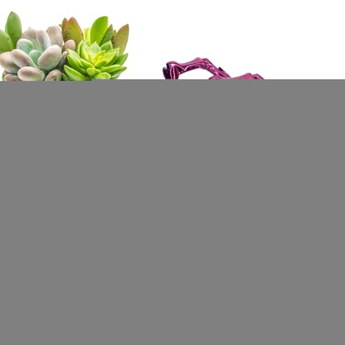 Spinnenspinne mit 3D-Druck, Spinnenspielzeug, 3D-Druck, Anti-Stress-Spielzeug mit beweglichen Gelenken, Schreibtischspielzeug für Erwachsene, Schreibspielzeug Spinnenspinne mit 3D-Druck, Spinnenspielzeug, 3D-Druck, Anti-Stress-Spielzeug mit beweglichen Gelenken, Schreibtischspielzeug für Erwachsene, Schreibspielzeug von Genérico