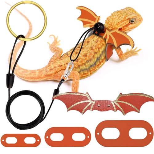 Bart Dragon Lash – kleine Flügel für Kostüme | Bart-Drachengeschirr und Leine mit Flügeln, S/M/L, 3 Pack Amphibien, eng anliegend, Amphibien, Fledermausflügel, Kostüme, Zubehör Bart Dragon Lash – kleine Flügel für Kostüme | Bart-Drachengeschirr und Leine mit Flügeln, S/M/L, 3 Pack Amphibien, eng anliegend, Amphibien, Fledermausflügel, Kostüme, Zubehör von Générique