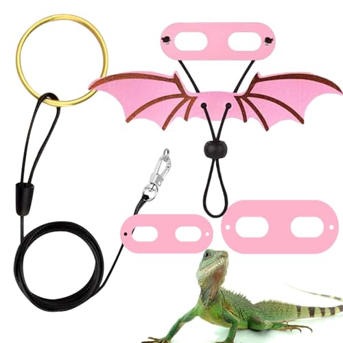 Bart Dragon Lash – kleine Flügel für Kostüme | Bart-Drachengeschirr und Leine mit Flügeln, S/M/L, 3 Pack Amphibien, eng anliegend, Amphibien, Fledermausflügel, Kostüme, Zubehör Bart Dragon Lash – kleine Flügel für Kostüme | Bart-Drachengeschirr und Leine mit Flügeln, S/M/L, 3 Pack Amphibien, eng anliegend, Amphibien, Fledermausflügel, Kostüme, Zubehör von Générique