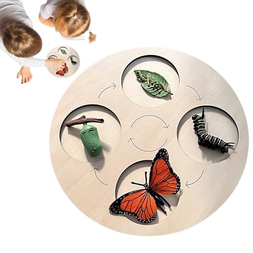 Butterfly Life Cycle Kit, Wooden Puzzle Board, 10,24 Zoll (35,6 cm), niedlich, kompakt, interaktiv, Wissenschaftsspielzeug mit hellen Farben für Kleinkinder, Chicken, Frog, Butterfly von Générique