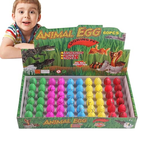 Dinosaurier-Eier schlüpfen im Wasser, Dinosaurier-Eier zum Decken, Egg Toys Dig Kit Hatch Egg Wachsen im Wasser | Dinosaurier-Partygeschenke, Geburtstagsgeschenke, Geschenke Dinosaurier-Eier schlüpfen im Wasser, Dinosaurier-Eier zum Decken, Egg Toys Dig Kit Hatch Egg Wachsen im Wasser | Dinosaurier-Partygeschenke, Geburtstagsgeschenke, Geschenke von Générique