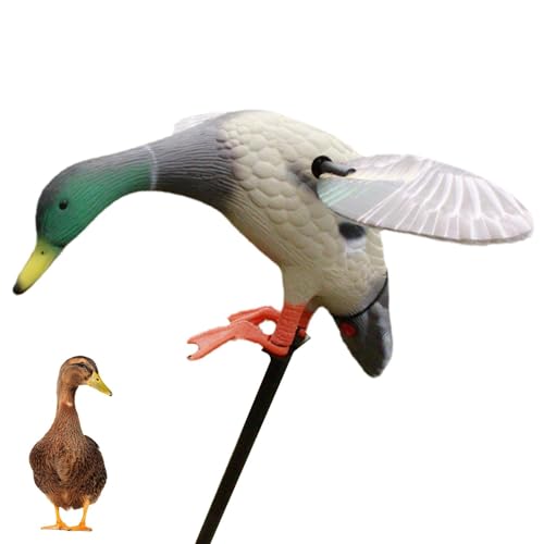 Duck Duck – Remote Controller Spinnings Wing Motion Duck Duck Duck, Powered Electric Duck Decoy | Mallard Spinnings Wing Flexible Duck Decoy | Beste Entenjagd mit Leistung | Ideal für Duck Duck – Remote Controller Spinnings Wing Motion Duck Duck Duck, Powered Electric Duck Decoy | Mallard Spinnings Wing Flexible Duck Decoy | Beste Entenjagd mit Leistung | Ideal für von Générique