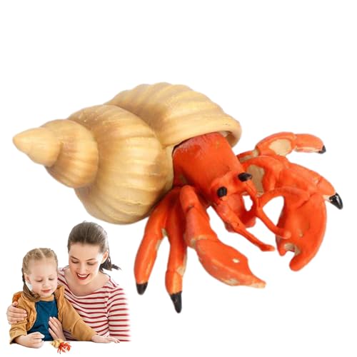 Einsiedlerkreb-Spielzeugfigur | Actionfigur, -Kreatur, Krabbenmodell, Spielzeug, Einsiedlerkreb-Figuren, Meerestiere, realistisch und exquisit, für Restaurant, Ausstellung Einsiedlerkreb-Spielzeugfigur | Actionfigur, -Kreatur, Krabbenmodell, Spielzeug, Einsiedlerkreb-Figuren, Meerestiere, realistisch und exquisit, für Restaurant, Ausstellung von Générique