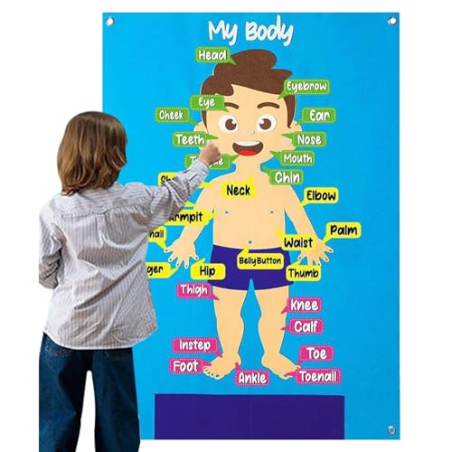 Filzboard für Kleinkinder – 30 Teile des Körpers Lernpuzzle, interaktives Lernspielset, frühes Unterrichtswerkzeug, lustiges Geschichtenerzählen | Lernen Filzboard für Kleinkinder – 30 Teile des Körpers Lernpuzzle, interaktives Lernspielset, frühes Unterrichtswerkzeug, lustiges Geschichtenerzählen | Lernen von Générique
