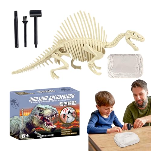 Fossil Dig Kit, Excavate and Build Dinosaur Skeleton 17,6 cm, Lernspielzeug STEM Science Toy, Hands-on Learning Activity Set, Fun Digging Exploration for Kids Classroom Discovery Use von Générique