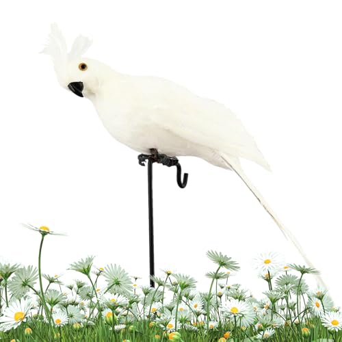 Gefälschte – künstlicher Schaumstoffvogel, gefälschter künstlicher Vogel | Tropische Vogeldekorationen für Gartendekoration im Außenbereich, weiß, rot, gelb, blau, grün Gefälschte – künstlicher Schaumstoffvogel, gefälschter künstlicher Vogel | Tropische Vogeldekorationen für Gartendekoration im Außenbereich, weiß, rot, gelb, blau, grün von Générique