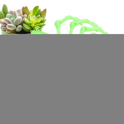 Gelenkspinne, Spider Fidget Spielzeug – Riesige Spinne für Büro – Executive Office-Spielzeug für Erwachsene, Anti-Stress-Spielzeug, Fidget, mysteriöse Spinne Gelenkspinne, Spider Fidget Spielzeug – Riesige Spinne für Büro – Executive Office-Spielzeug für Erwachsene, Anti-Stress-Spielzeug, Fidget, mysteriöse Spinne von Générique