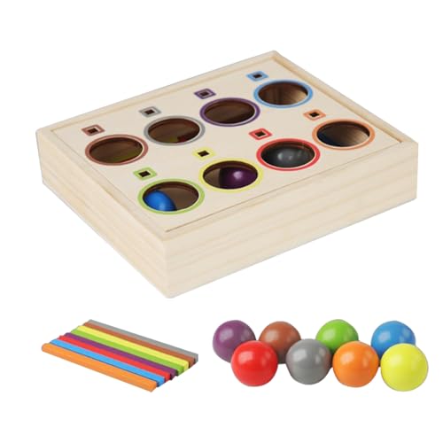 Générique Color Sorting Balls, Preschool Kindergarten Learning Toy, 18 x 16 x 4 cm (7,68 x 6,61 x 1,69 Zoll) Holz Matching Game, Bildung Coloring Sorting Activity for Early Learner, Kinder, Toddler von Générique