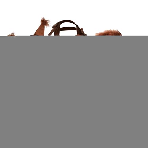 Générique Eichhörnchenkostüm für Kleinkinder, Eichhörnchenkostüm für Tierverkleidung, Tier-Thema für Mädchen im Alter von 1 bis 12 Jahren, Tutu- mit Ohren, Stirnband, Schwanz von Générique