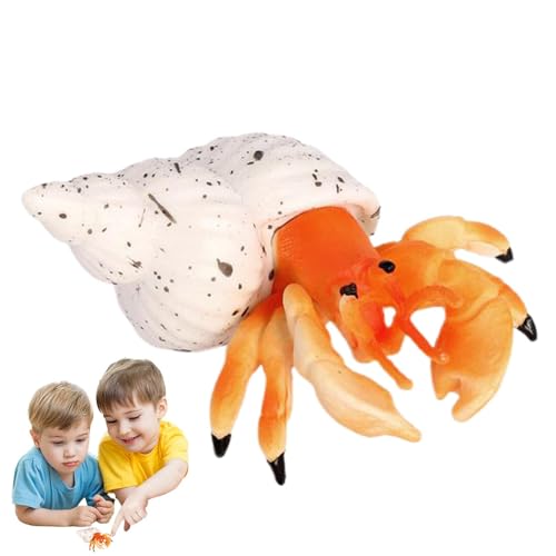 Générique Einsiedlerkreb-Figur | Actionfigur, Tierspielzeug, exquisite Lernfiguren von Meerestieren, Einsiedlerkrebse, Restaurant- und Hausdekoration, C Générique Einsiedlerkreb-Figur | Actionfigur, Tierspielzeug, exquisite Lernfiguren von Meerestieren, Einsiedlerkrebse, Restaurant- und Hausdekoration, C von Générique