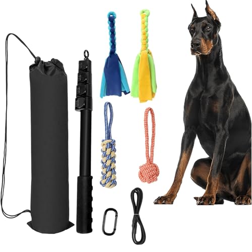 Générique Flirt-Pole für Hunde – Dog Tug of War Toy Pet Wand interaktiv – Flirt Stick einziehbar, Agility-Ausrüstung für Hunde, Welpen, zum Üben von Spielen Générique Flirt-Pole für Hunde – Dog Tug of War Toy Pet Wand interaktiv – Flirt Stick einziehbar, Agility-Ausrüstung für Hunde, Welpen, zum Üben von Spielen von Générique