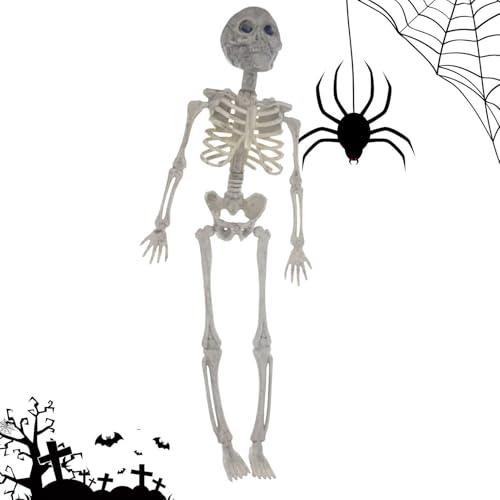 Générique Hall0ween Skelett – realistische menschliche Skelette, Full Body Knochen mit beweglichen Gelenken | Dekoration des Spukhauses von Hall0ween | Skelettfigur für Zubehör von Générique