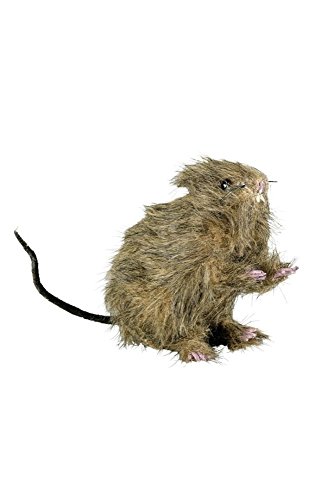 Generique - Halloween Ratte von Generique -