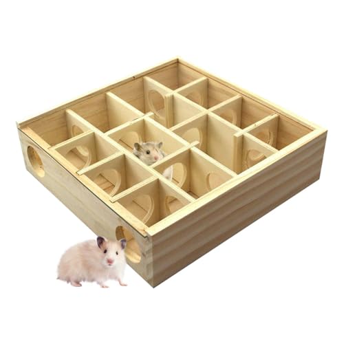 Générique Hamster-Tunnel, Natural Small Pet, Interactive Gerbil Maze, Glass Cover, Intelligent Design, 9,84 x 9,84 x 2,75 Zoll, Ideal für Mice und Play Notwendigkeiten von Générique