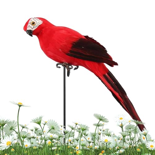 Générique Papageienstatue für den Außenbereich, künstlicher , künstlicher Vogel | Realistische Dekoration von , Nachahmung, Heimgarten, Dekoration, 25 cm / 9,84 Zoll Générique Papageienstatue für den Außenbereich, künstlicher , künstlicher Vogel | Realistische Dekoration von , Nachahmung, Heimgarten, Dekoration, 25 cm / 9,84 Zoll von Générique