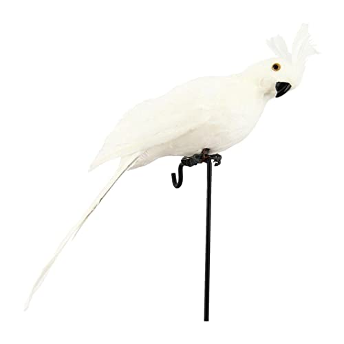 Générique Papageienstatue für den Außenbereich, künstlicher , künstlicher Vogel | Realistische Dekoration von , Nachahmung, Heimgarten, Dekoration, 25 cm / 9,84 Zoll Générique Papageienstatue für den Außenbereich, künstlicher , künstlicher Vogel | Realistische Dekoration von , Nachahmung, Heimgarten, Dekoration, 25 cm / 9,84 Zoll von Générique